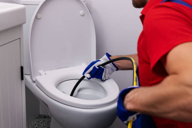 Best Affordable Plumbing Services  in Wilton, IA